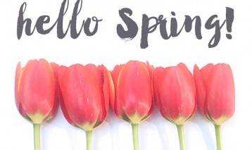 blog image - Spring Checklist