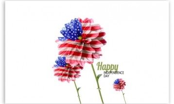 blog image - 4th of July Activities for the Whole Family!